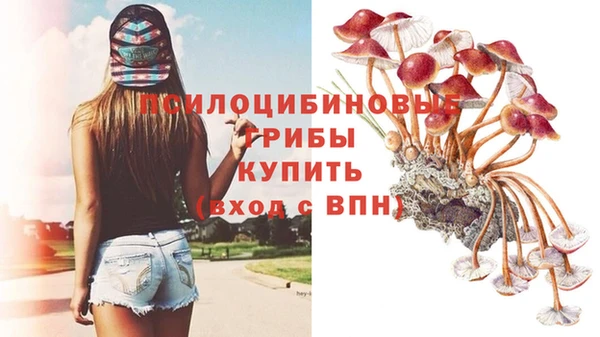 МДПВ Абинск