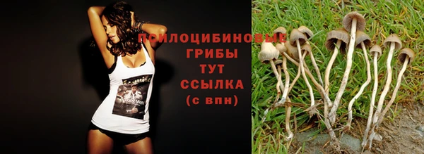 трава Абдулино