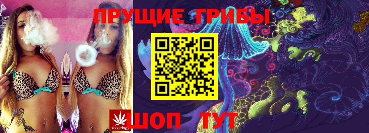 Псилоцибиновые грибы прущие грибы  Вход с VPN  Шарыпово 