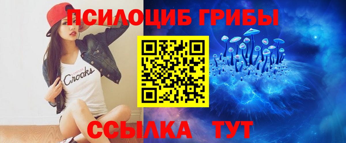 Псилоцибиновые грибы Psilocybine cubensis Шарыпово